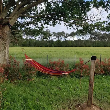 Tipi Apache Des Monteaux