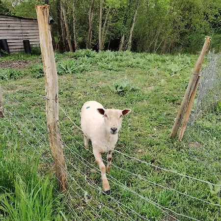 Tipi Apache Des Monteaux Chalet Vivy