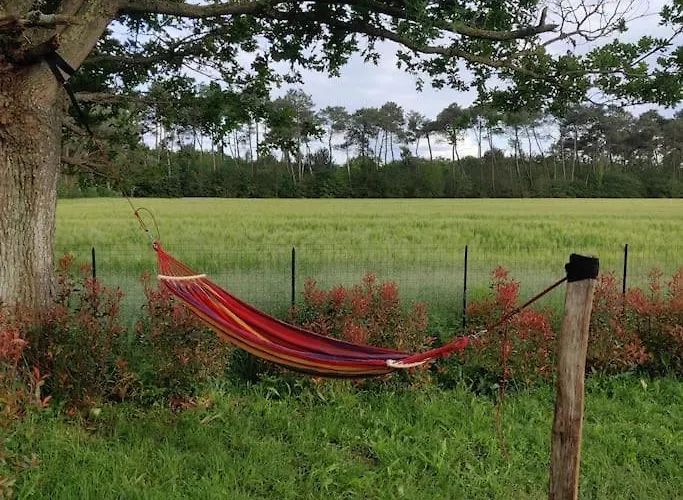 Tipi Apache Des Monteaux