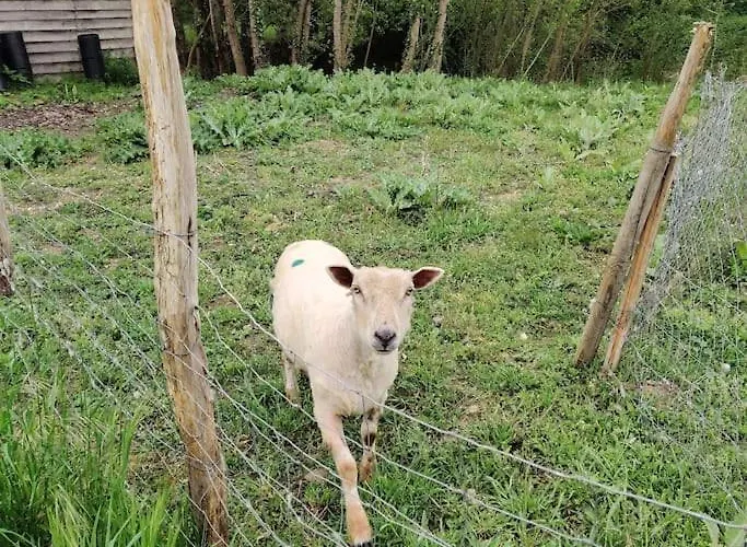 Tipi Apache Des Monteaux Domek alpejski Vivy